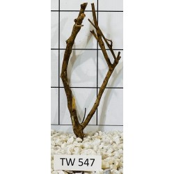 Talawawood 547