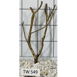 Talawawood 549