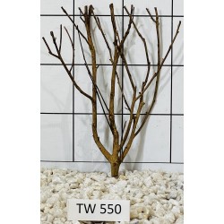 Talawawood 550