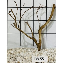 Talawawood 551