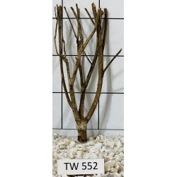 Talawawood 552