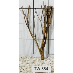 Talawawood 554