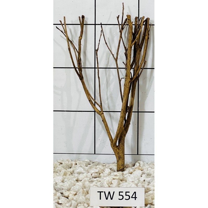 Talawawood 554