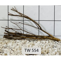 Talawawood 554