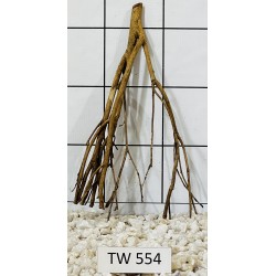 Talawawood 554