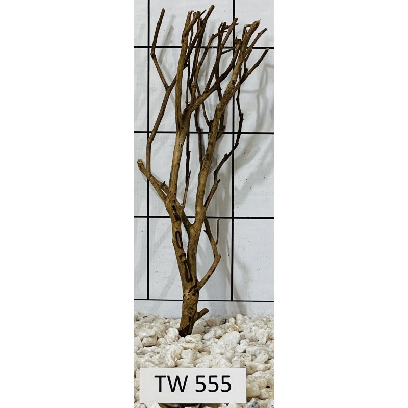 Talawawood 555