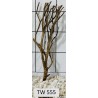Talawawood 555