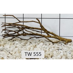 Talawawood 555