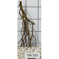 Talawawood 555