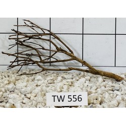 Talawawood 556