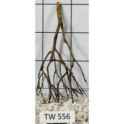 Talawawood 556