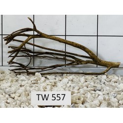 Talawawood 557