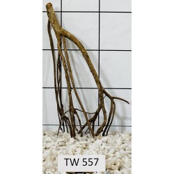 Talawawood 557