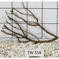 Talawawood 558