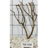 Talawawood 558