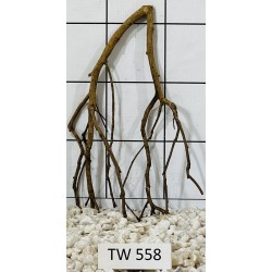 Talawawood 558