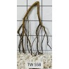 Talawawood 558