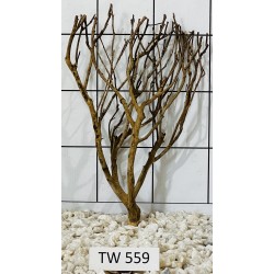 Talawawood 559