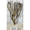 Talawawood 559
