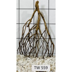 Talawawood 559