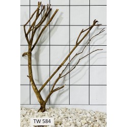 Talawawood 584