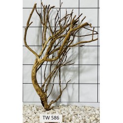 Talawawood 586