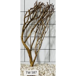 Talawawood 587