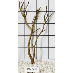 Talawawood 590