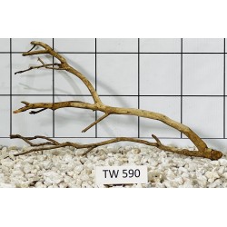 Talawawood 590