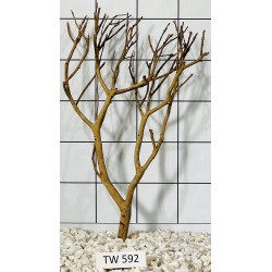 Talawawood 592