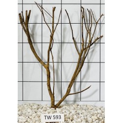 Talawawood 593