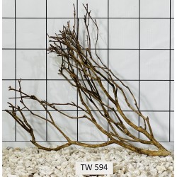 Talawawood 594