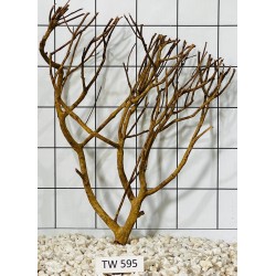 Talawawood 595