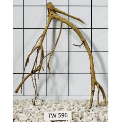 Talawawood 596