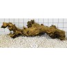 Samoa wood 35