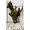 Samoa wood 36