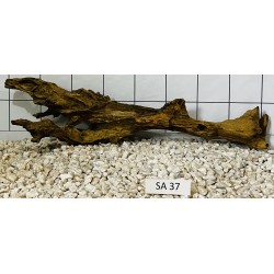 Samoa wood 37