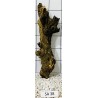 Samoa wood 38