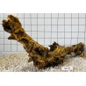 Samoa wood 41
