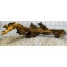 Samoa wood 41