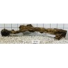 Samoa wood 52