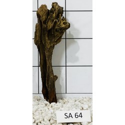 Samoa wood 64