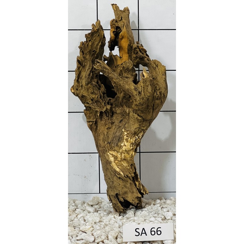Samoa wood 66