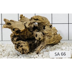 Samoa wood 66