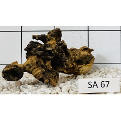 Samoa wood 67