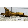 Samoa wood 67