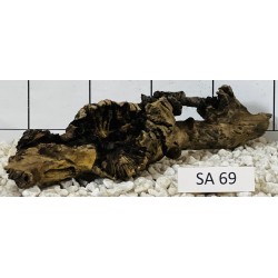 Samoa wood 69