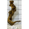 Samoa wood 74