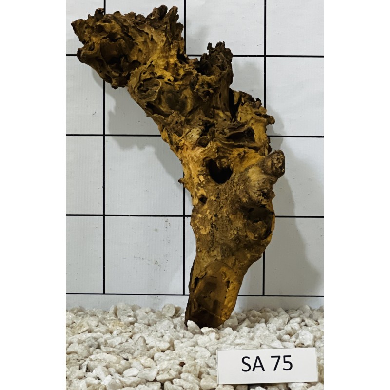 Samoa wood 75