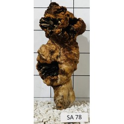 Samoa wood 78